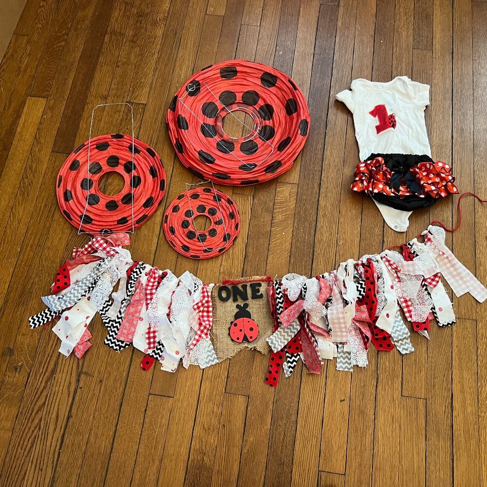 Ladybug First Birthday